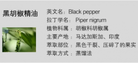上海黑胡椒的功效與作用